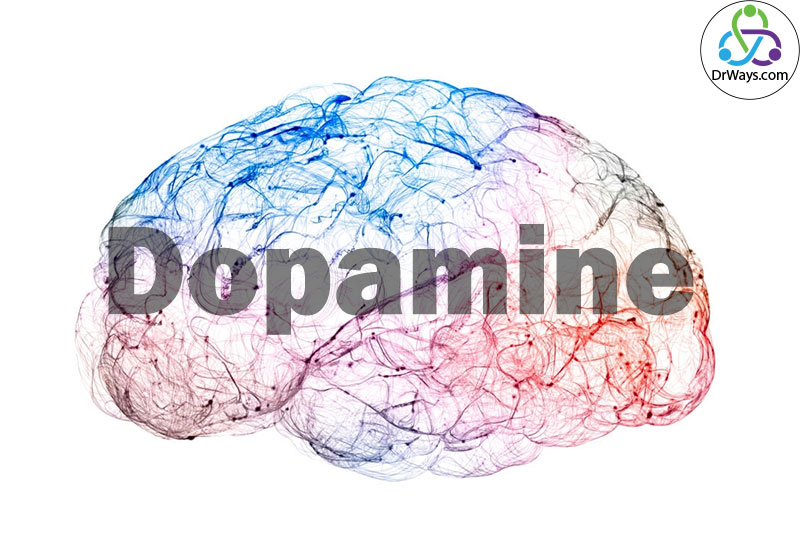 کارکرد دوپامین در مغز