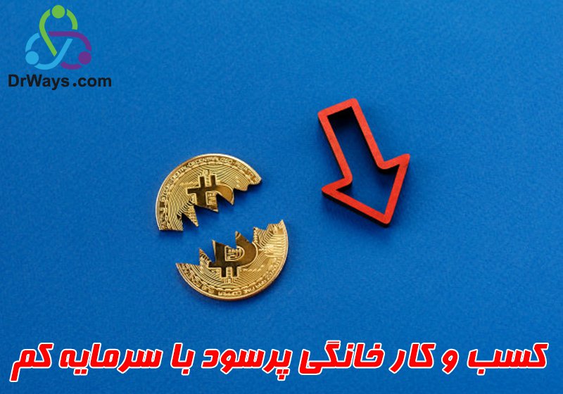 کسب و کار خانگی پرسود با سرمایه کم